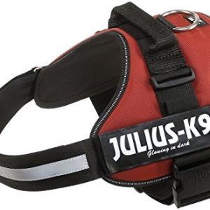 JULIUS K-9 Julius K9, 162bor,-K9 power naczynia, kasztan, 1, kasztan - 1 zdjęcie