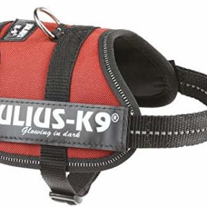 JULIUS K-9 Julius K9, 162bor,-K9 power naczynia, kasztan, kasztan - 1 zdjęcie