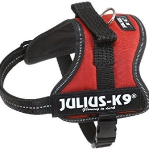 JULIUS K-9 Julius K9, 162bor,-K9 power naczynia, kasztan, Mini, kasztan - 1 zdjęcie