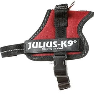 JULIUS K-9 Julius K9, 162br,-K9 power naczynia, bordowy, bordowy 5999053655617 - 1 zdjęcie