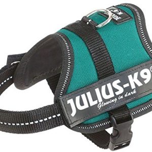 JULIUS K-9 Julius K9, 162dg,-K9 power naczynia, ciemnozielony, ciemnozielony 5999053662882 - 1 zdjęcie