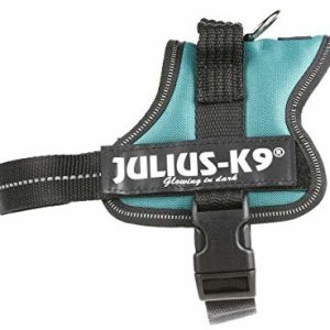 JULIUS K-9 Julius K9, 162dg,-K9 power naczynia, ciemnozielony, Mini, ciemnozielony 5999053663032 - 1 zdjęcie