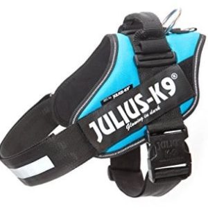 JULIUS K-9 Julius K9 16IDC-AM. Naczynia IDC, akwamaryna, 3, zielono-niebieski - 1 zdjęcie