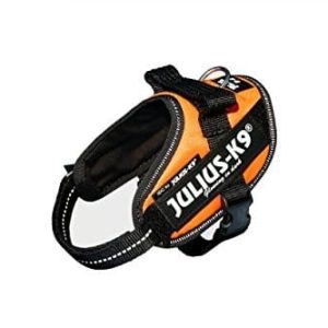 JULIUS K-9 Julius K9 16IDC-FOR, IDC-Powergeschirr, UV-orange - 1 zdjęcie