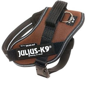 JULIUS K-9 Julius K9 IDC-Powergeschirer z polem logo, mini czekoladowy brąz - 1 zdjęcie