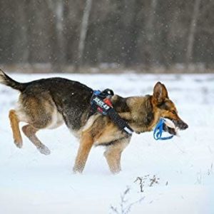 JULIUS K-9 Julius-K9, kiełbasa, nylon bawełniany - 1 zdjęcie