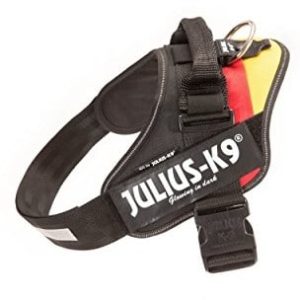 JULIUS K-9 Julius K9 16idc de IDC-power zastawy stołowej, German Flag, 3 - 1 zdjęcie