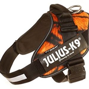JULIUS K-9 Julius K9 16idc TIG, IDC-power naczynia, Tiger, 2, tygrys - 1 zdjęcie