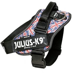 JULIUS K-9 Lampa Julius K9, 16idc UK, IDC-power Harness, flaga brytyjska, 1 16IDC-UK-1 - 1 zdjęcie