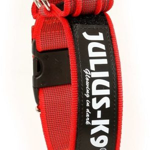 Julius-K9 100Ha-K-R-2015 Color & Gray Halsband Mit Haltegriff, Sicherheitsverschluss Und Logo, Verstellbar, Rot/Grau - 1 zdjęcie