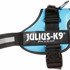 Julius-K9 162 W, K9-power naczynia, aquamarine, 1, zielono-niebieski 5999053641566 - 1 zdjęcie