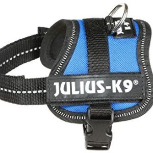 Julius-K9 162b, K9-power naczynia, niebieski 5999053612689 - 1 zdjęcie