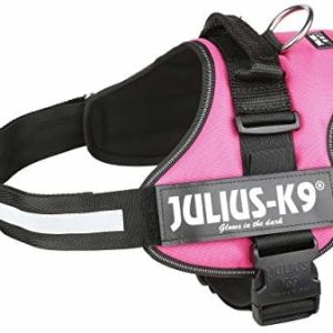 Julius-K9 162dpn, K9-power naczynia, dunkelpink, 1, ciemnoróżowy - 1 zdjęcie