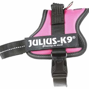 Julius-K9 162dpn, K9-power naczynia, dunkelpink, Mini, ciemnoróżowy 5999053663087 - 1 zdjęcie