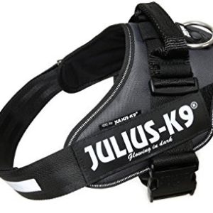 Julius-K9 , 16Idc-Ant-1, Idc-Powergeschirr, Größe:: 1, Athrazit - 1 zdjęcie