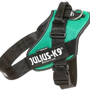Julius-K9 16idc-GG IDC-power naczynia, zieleń trawy, 2, zielony (grasgrün) - 1 zdjęcie