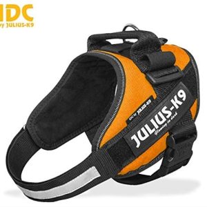 Julius-K9 16Idc-Kor-1 Powergeschirr, Größe  1, Kpferorange - 1 zdjęcie