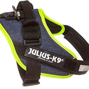 Julius-K9 16idc-lindisfarne IDC-power naczynia, kolor: dżinsowy ze zdobieniem z Neon krawędzi, 0 - 1 zdjęcie