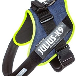 Julius-K9 16idc-lindisfarne IDC-power naczynia, kolor: dżinsowy ze zdobieniem z Neon krawędzi, 3 - 1 zdjęcie