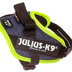 Julius-K9 16idc-lindisfarne IDC-power naczynia, kolor: dżinsowy ze zdobieniem z Neon krawędzi - 1 zdjęcie
