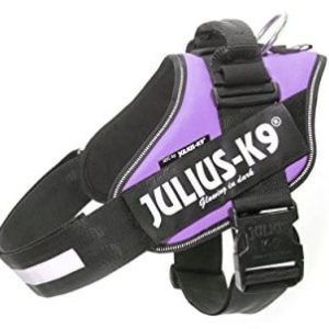 Julius-K9 16IDC-PR, IDC-Powergeschirr, Lila, 1, liliowy - 1 zdjęcie