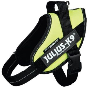 Julius-K9 Power Neon Green - Mini - 1 zdjęcie