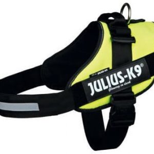 Julius-K9 Power Neon Green - Rozm. 1 - 1 zdjęcie