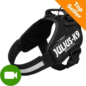 Julius-K9 Szelki dla psa IDC Power Black Baby 2| Dostawa GRATIS od 89 zł + BONUS do pierwszego zamówienia - 1 zdjęcie