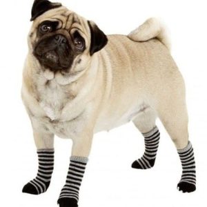 Karlie Doggy Socks skarpety-częściowy zestaw dla psa czarny/szary L 15227 - 1 zdjęcie