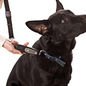 Karlie Flamingo 12080 E-Walk The Dog dogtrainer - 1 zdjęcie