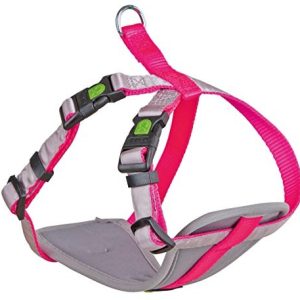 Kerbl 81062 naczynia dla małych psów, XS, różowy neonowy - 1 zdjęcie