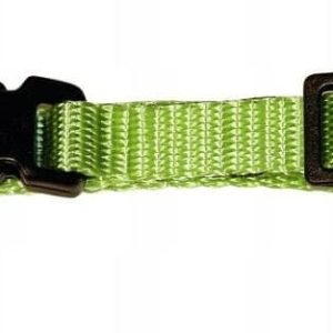 Kerbl Collor-Obroża MIAMI-Zielona(10 mm,20-35cm) - 1 zdjęcie