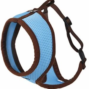 Kerbl KERBL 82645 kot naczynia Active z liną 120 cm, niebieski - 1 zdjęcie