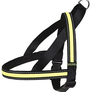 Kerbl uprząż dla psa Light + Reflex, 120 cm błyszczący naczynia dla psów, które są dostępne w różnych rozmiarach, czarno-żółty - 1 zdjęcie