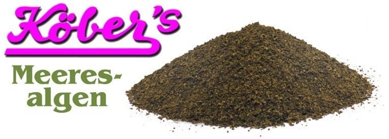 Koebers Suplement diety dla psa KOEBERS, algi morskie, 1 kg - 1 zdjęcie