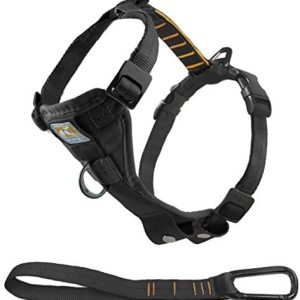 Kurgo kurgo 00024 Tru-Fit Smart naczynia dla psów z wtyczką pasek, czarna, M 896622000241 - 1 zdjęcie
