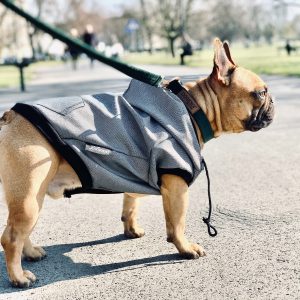 Kurtka zimowa dla psa czarna ubranko L na miarę - 1 zdjęcie
