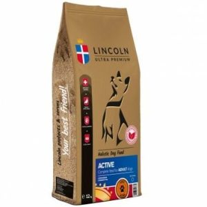 Lincoln Adult Active Power Dog 12 kg - 1 zdjęcie