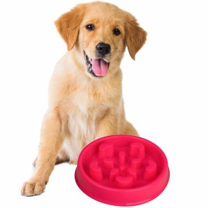 Miska Spowalniająca Dla Psa Plastik 18,5 x 4,5 cm - 1 zdjęcie