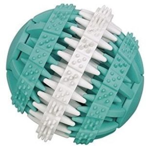 Nobby 60470 guma lita ball "Dental Fun", dwukolorowy - 1 zdjęcie