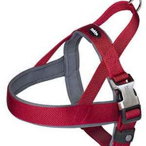 Nobby Classic Preno Royal naczynia norweskie, L-XL, czerwony - 1 zdjęcie