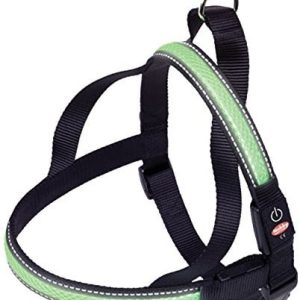 Nobby LED norweskie naczynia - Flesh Mesh, xl, zielony 78239-35 - 1 zdjęcie
