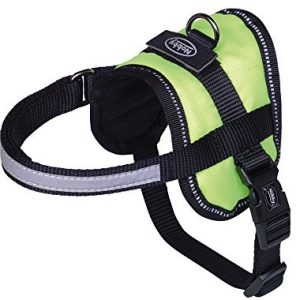 Nobby Naczynia do 80579 24 Seguro Mini, neonowy żółty 80579-24 - 1 zdjęcie