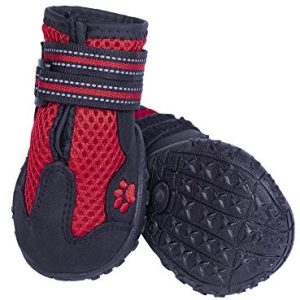 Nobby psów Runners Mesh na buty 2 ST, czerwony 75994-01 - 1 zdjęcie