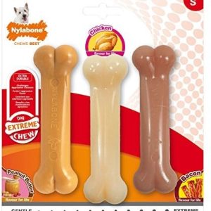 Nylabone Po właściwym Bone Extreme Value Pack pies rozgryzać 983918EU - 1 zdjęcie