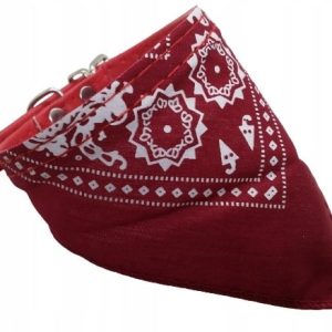 obroża bandamka dla psa szczeniaka 26-32 cm - 1 zdjęcie