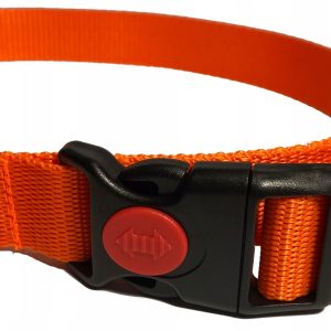 Obroża Dla Psa Z Blokadą Regulowana 35-60 CM/25MM - 1 zdjęcie