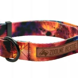 Obroża dla psa Zdolne Bestie klamra M szer 2,5cm - 1 zdjęcie