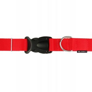 Obroża Dla Średniego Psa Metalowe Reg 35-45 CM/2CM - 1 zdjęcie