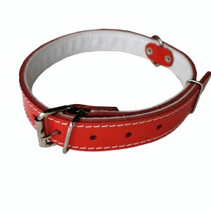Obroża Pasek Czerwona S/m Regulacja od 35 do 43 cm - 1 zdjęcie